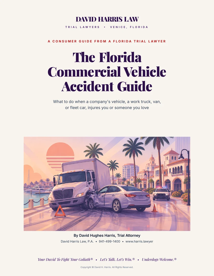 Cover of Hit By a Company Vehicle in Sarasota by David Hughes Harris